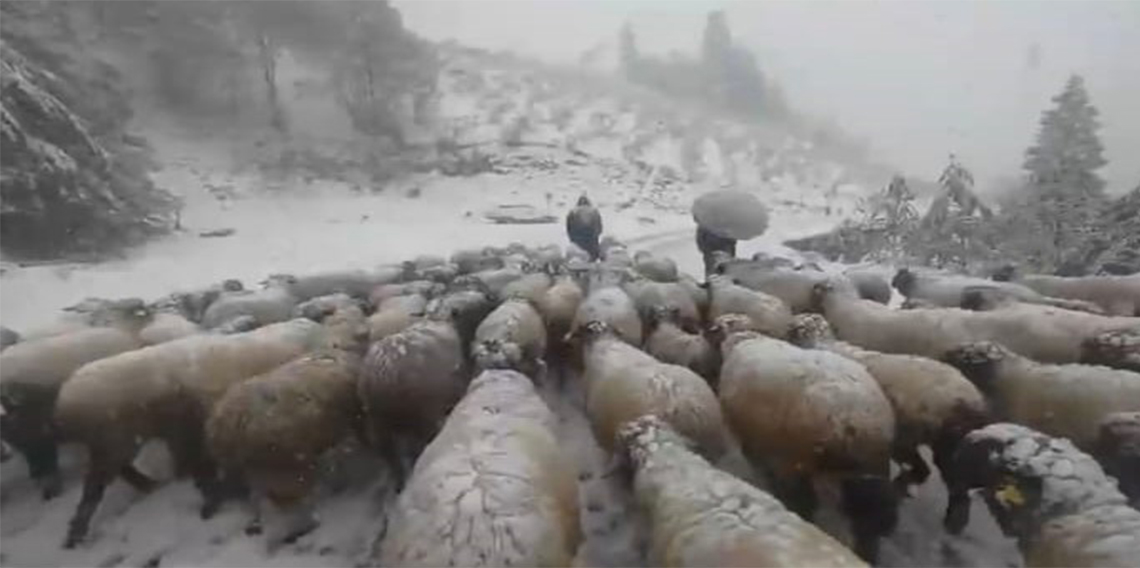 Kar bastırınca yayladan mezraya 3 günde ulaştılar