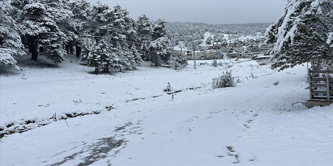 Bitlis ve Sivas'ta kar yağışı etkili oldu