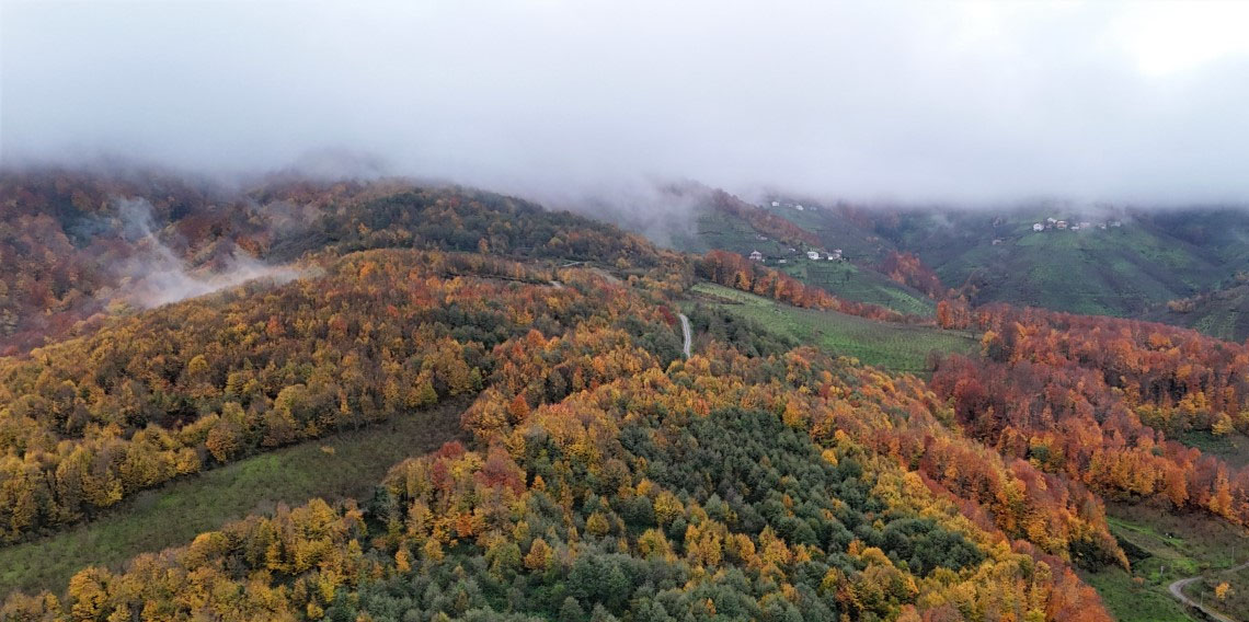 Samsun’da masalsı sonbahar