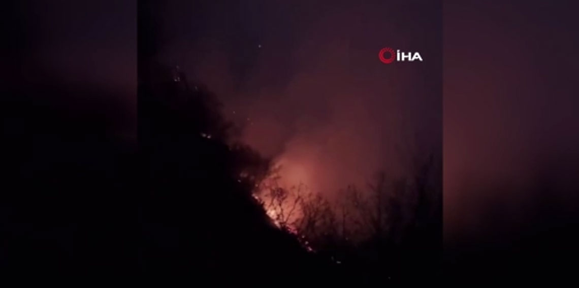 İran’dan orman yangınlarıyla mücadelede yardım talebi