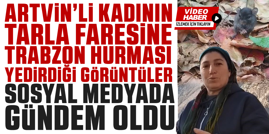 Tarla faresiyle kurduğu diyalog sosyal medyada ilgi çekti