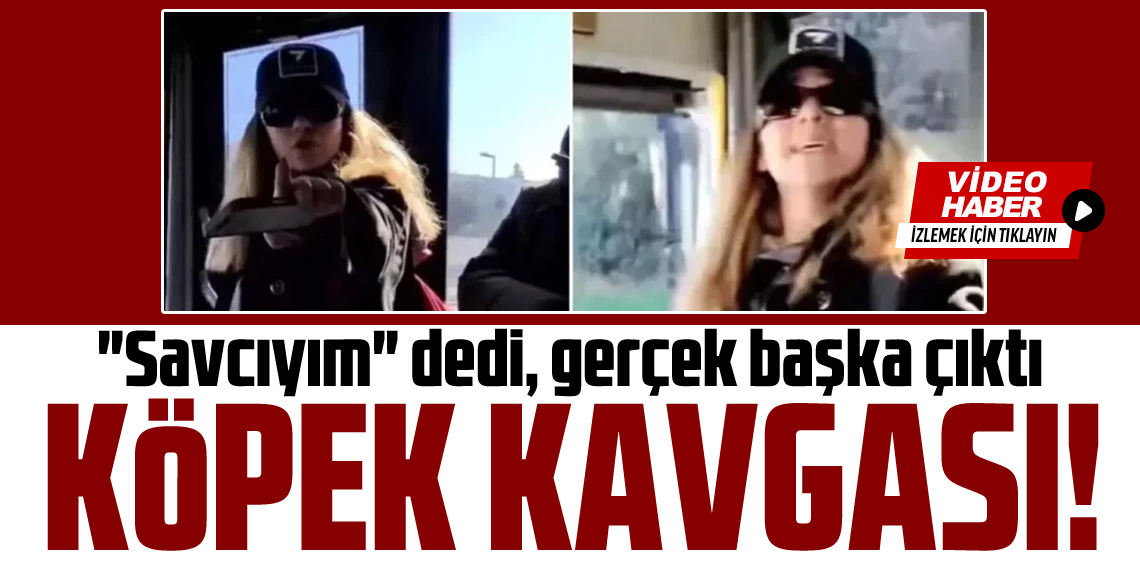 Otobüste köpek kavgası! 