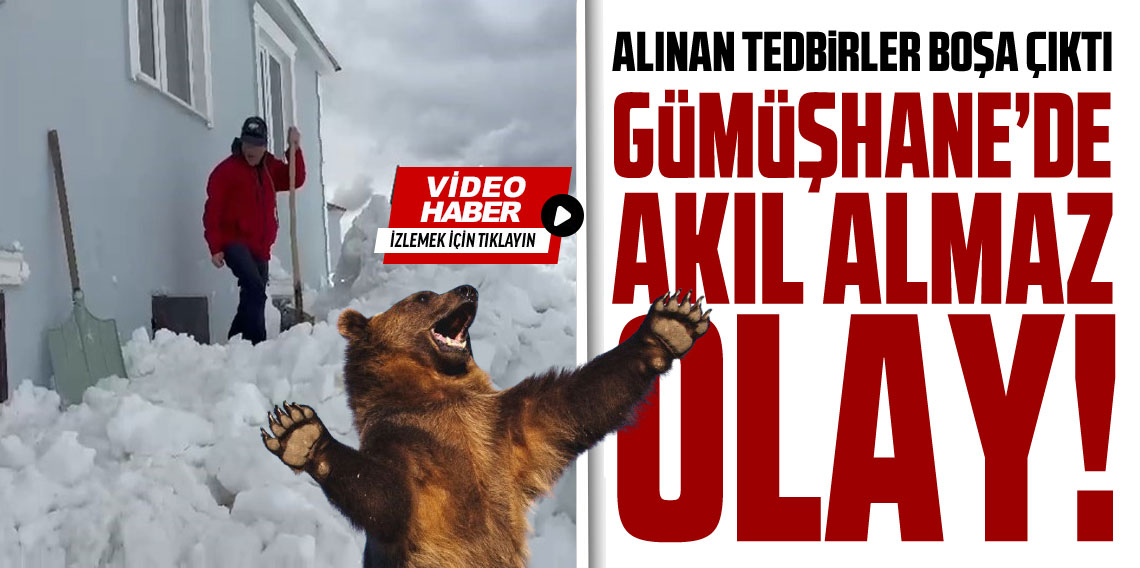 Gümüşhane’de akılalmaz olay