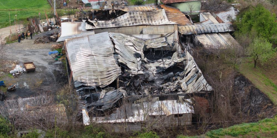 Muz deposundaki yangının zararı gün ağarınca ortaya çıktı
