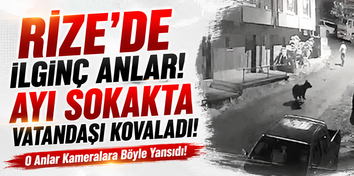 Rize’de İlginç Anlar! Yavrularını Koruyan Ayı Vatandaşı Kovaladı