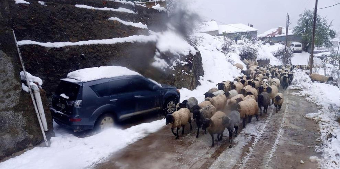 Giresun’da mahsur kalan çobanlar kurtarıldı