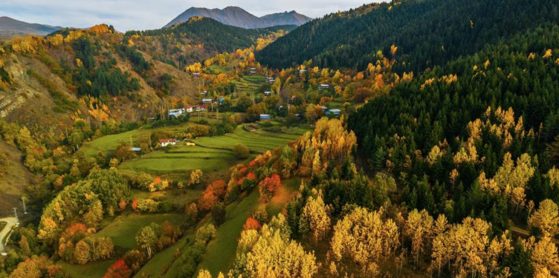 Artvin'de sonbahar renkleri hayran bırakıyor