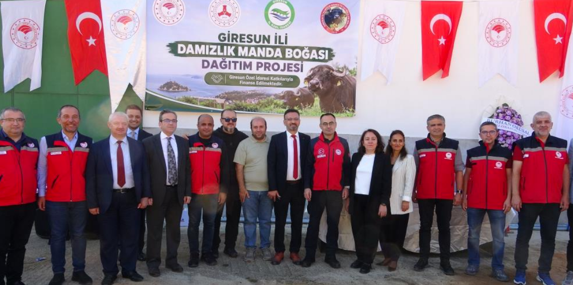 Giresun’da manda yetiştiriciliğinde verimi artıracak destek