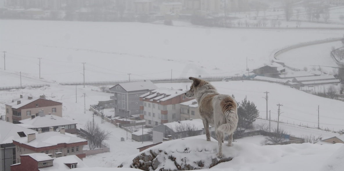 Meteoroloji'den Bayburt için kar yağışı uyarısı