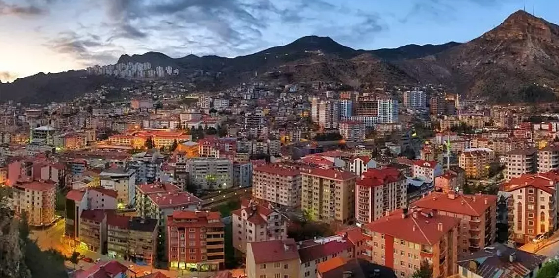 Gümüşhane'nin şehir içi ulaşımı 