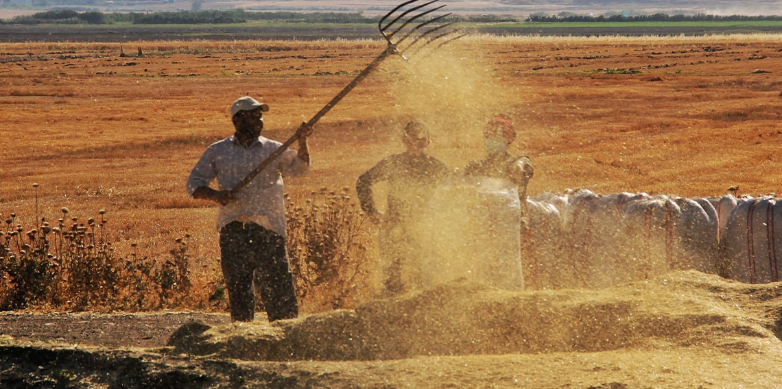 Tarımsal girdi fiyat endeksi yıllık yüzde 32,59 arttı