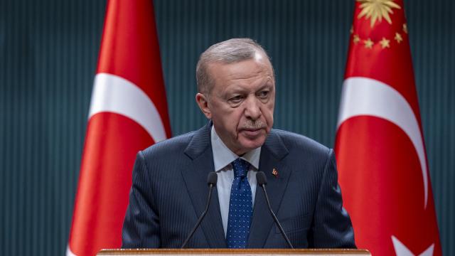 Cumhurbaşkanı Erdoğan: Dezenflasyon süreci 2025'te devam edecek