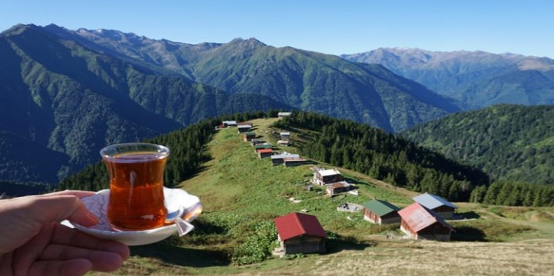 Pokut Yaylası Ziyaret Saatleri ve Giriş Ücreti ne kadardır?