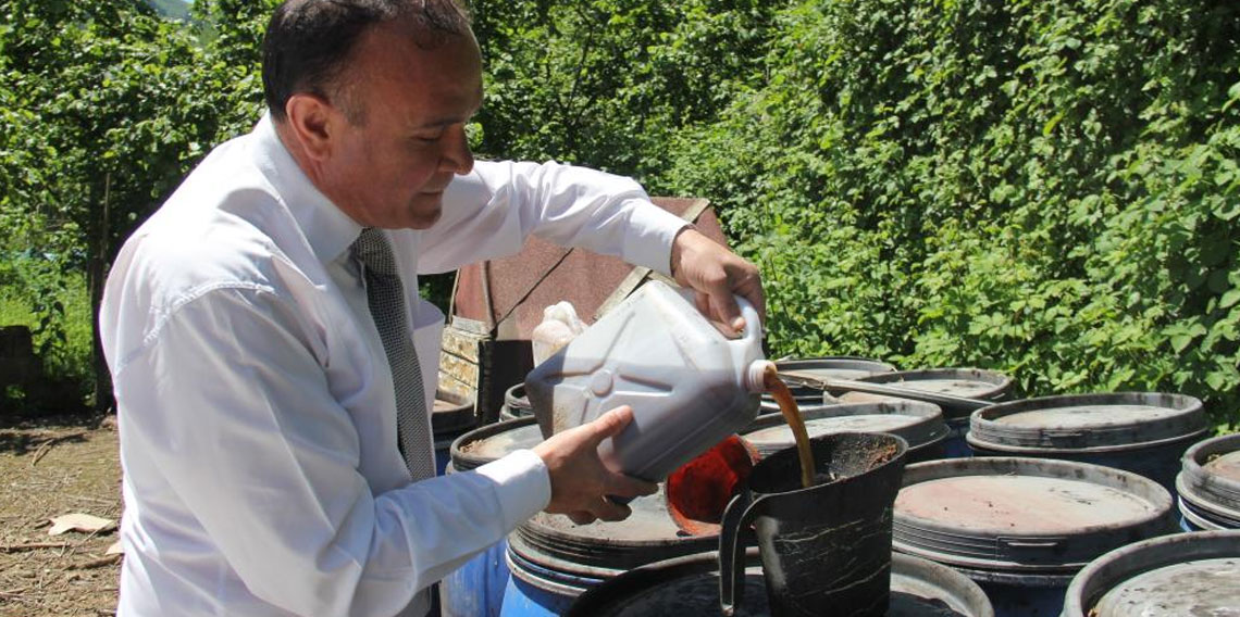Kahverengi kokarcaya sıvı balık gübreli önlem