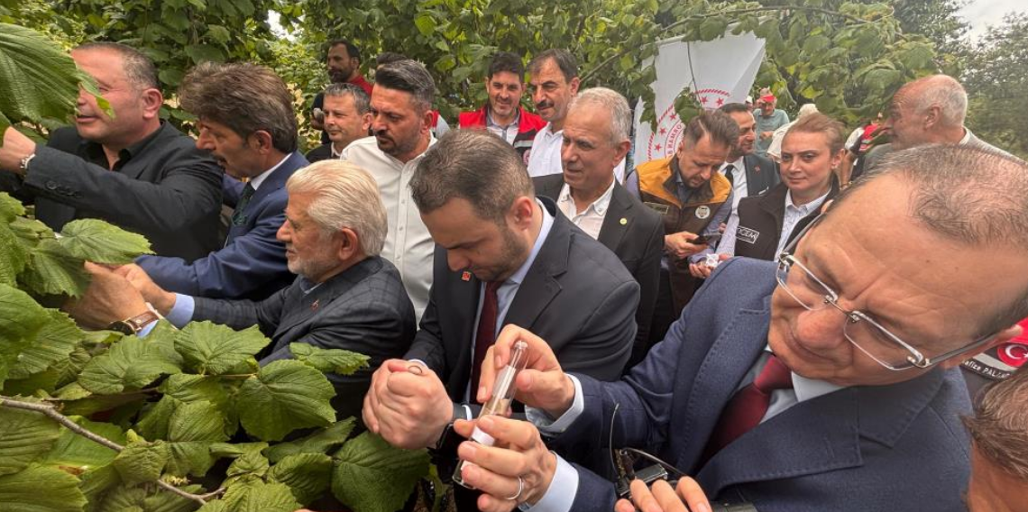 Trabzon'da kahverengi kokarcaya karşı doğal ordu göreve başladı
