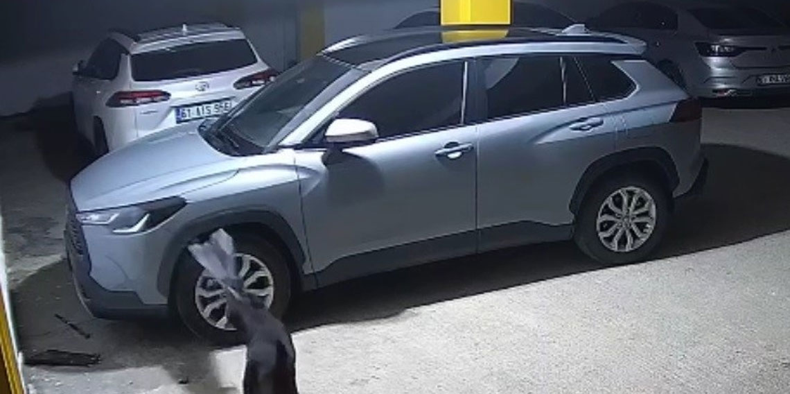 Gerçek güvenlik kamerası görüntülerini izleyince ortaya çıktı