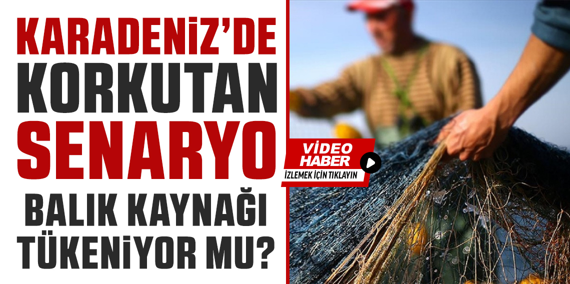 Karadeniz'de Korkutan Senaryo! Karadeniz'de balık stokları azalıyor
