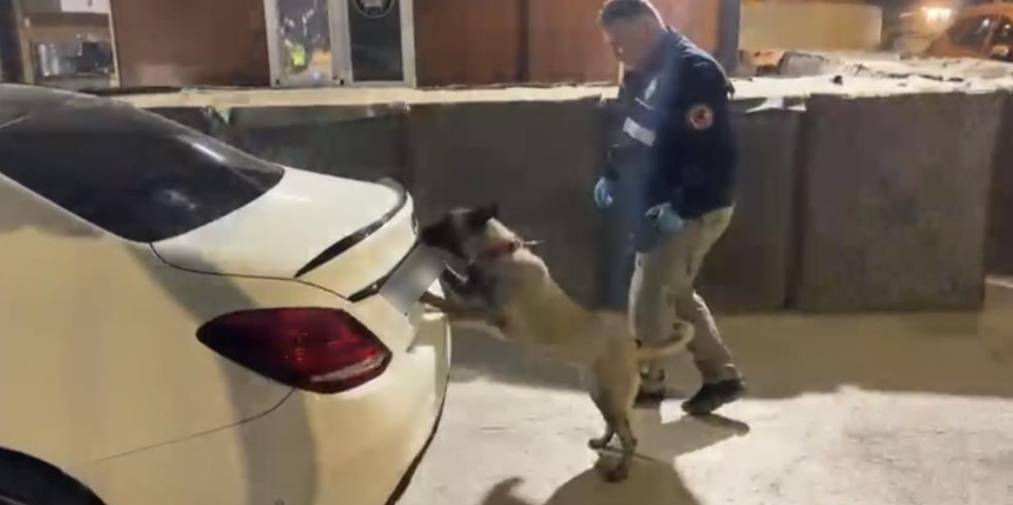 Samsun'da narkotik köpeği Şila iş başında! Valizden 1 kilo 900 gram metamfetamin çıktı