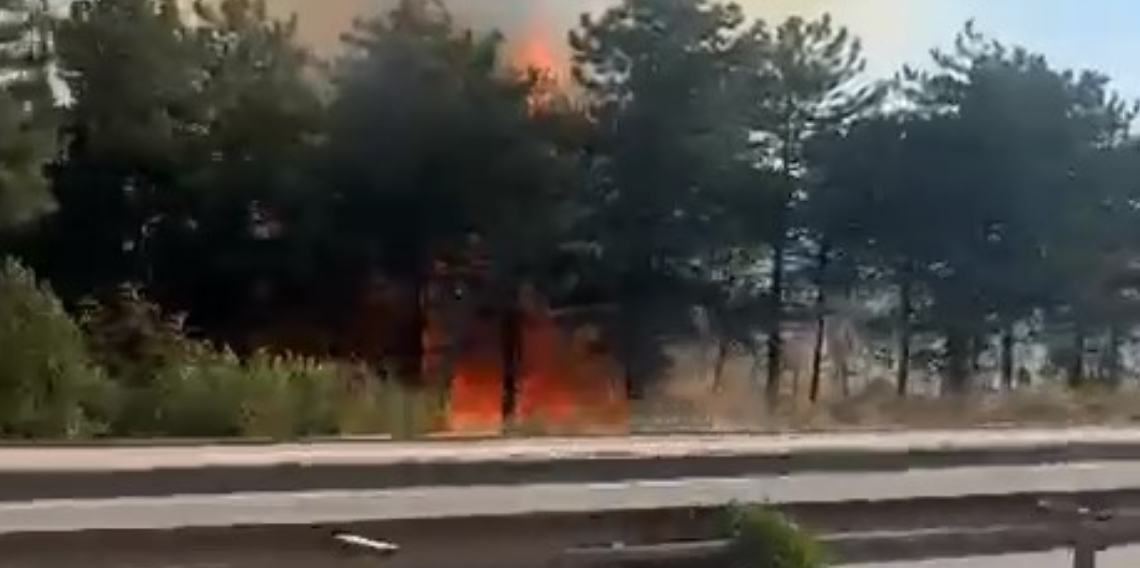 Bursa'da iki noktada yangın! Uludağ'ın etekleri alev alev yanıyor