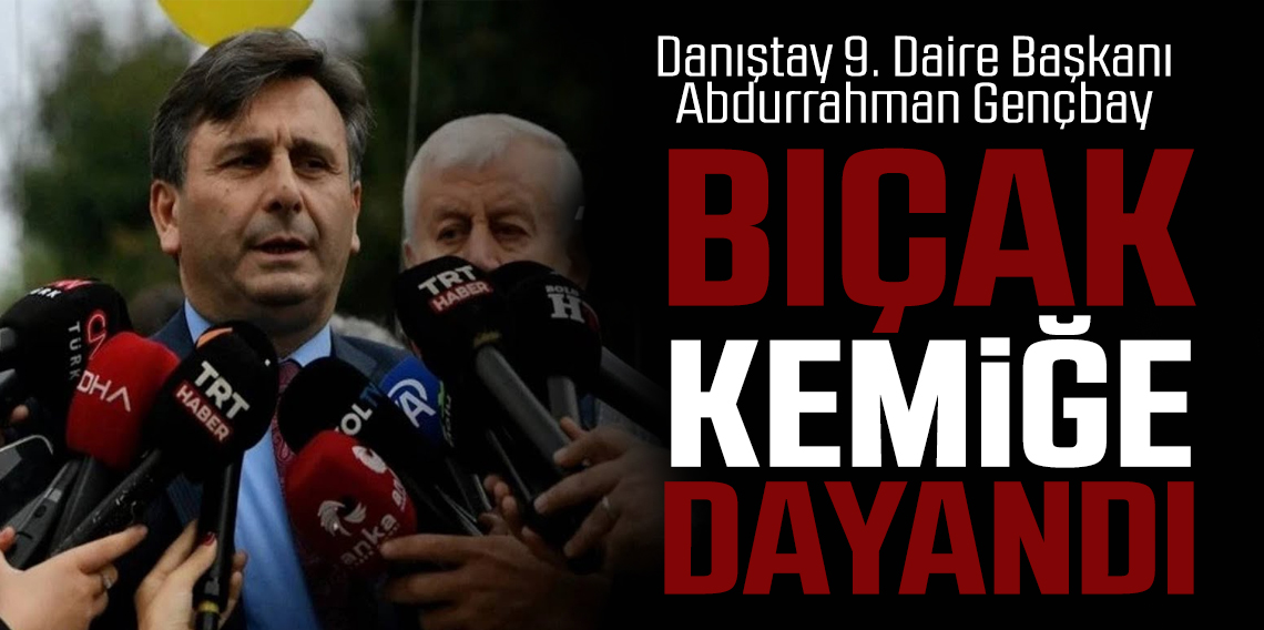 Danıştay 9. Daire Başkanı: 