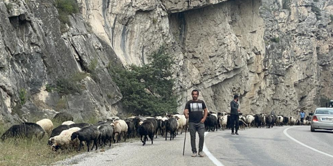 Artvin'de yaylalardan dönüş başladı