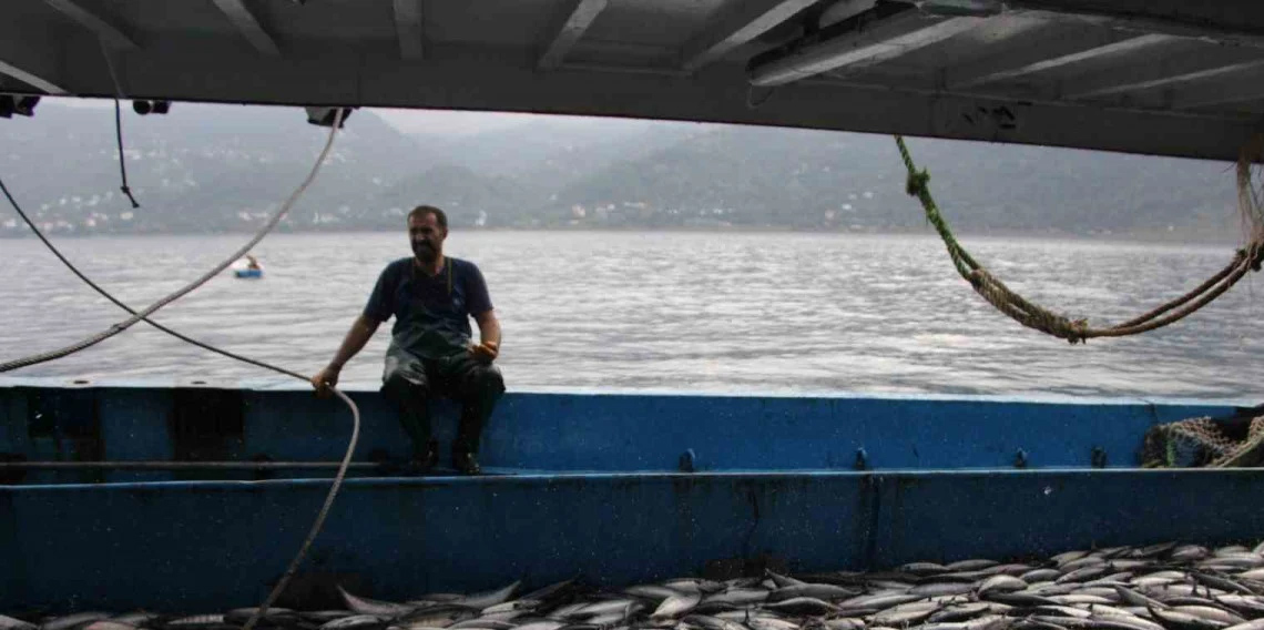 Trabzon'da balıkçıların gözü hamside