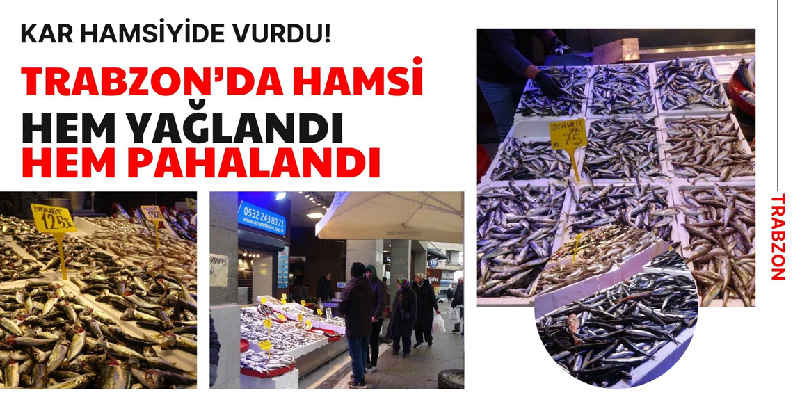 Hamsi karı gördü fiyatı iki katına çıktı