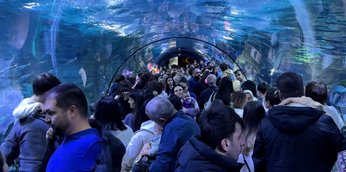 Trabzon Akvaryum’daki 'deniz kızı' gösterisi izleyenleri büyüledi