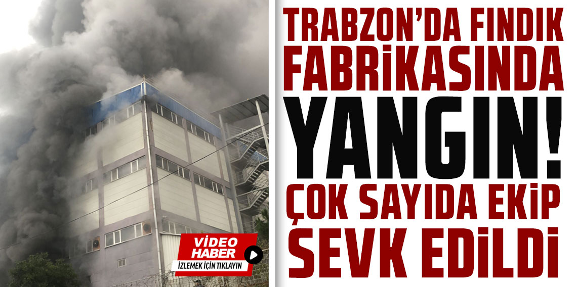 Trabzon'da fındık fabrikasında yangın!