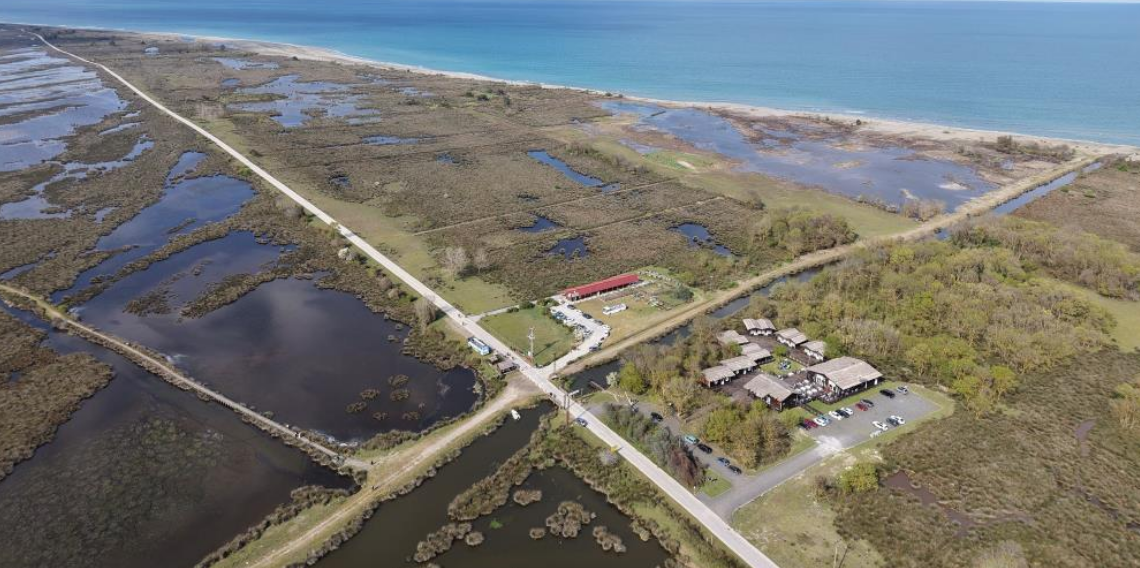 Baharın güzelliği deltada: Su papatyaları ve mandalarıyla ziyaretçilerin ilgi odağı