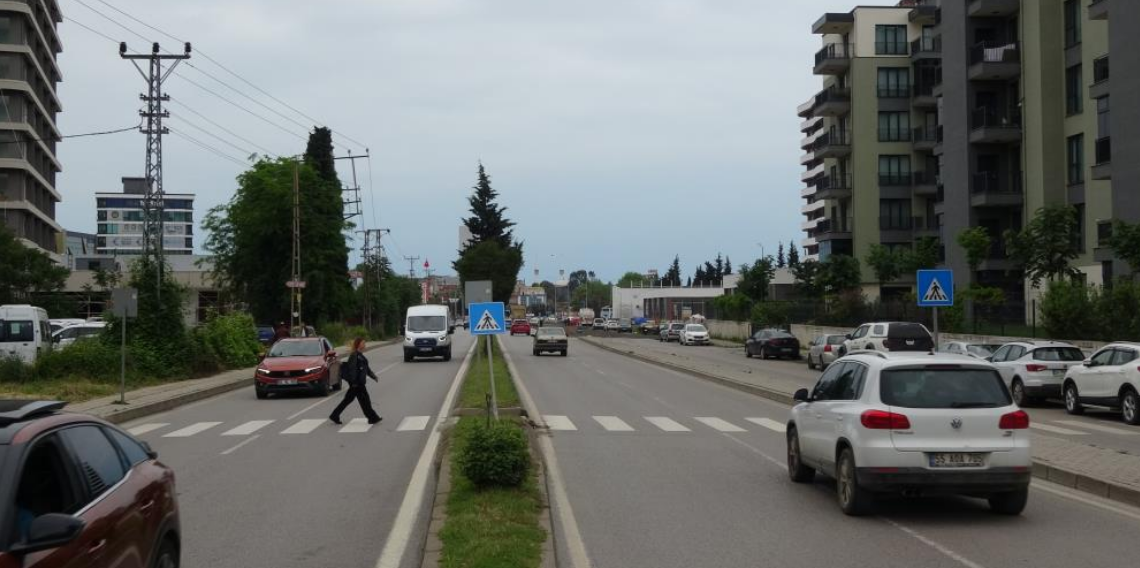 Vatandaştan yaya geçidine sinyalizasyon talebi