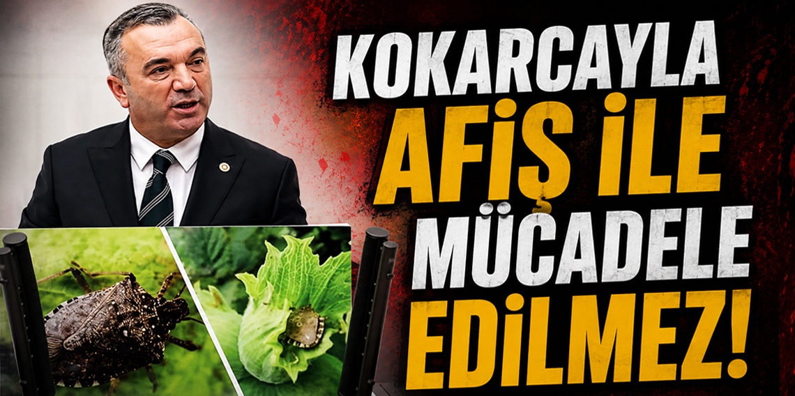 Yavuz Aydın: “Kokarcaya karşı afiş değil, gerçek mücadele lazım”