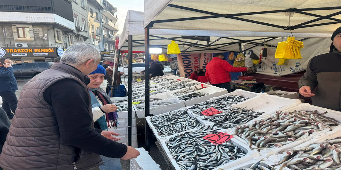 Hamsinin fiyatı düştü, vatandaş yoğun ilgi gösterdi