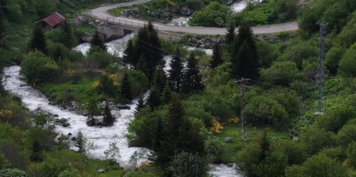 Rize yaylalarında yaz güzelliği: Karlar eridi, doğa yeşile büründü