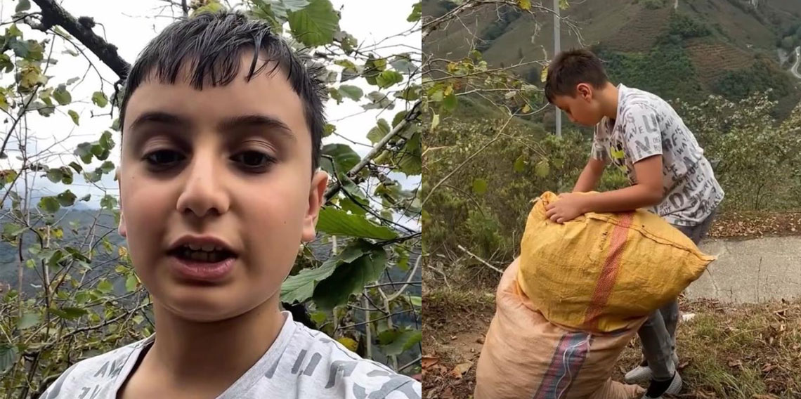 Giresunlu küçük Talha fındığını Gazze için topluyor