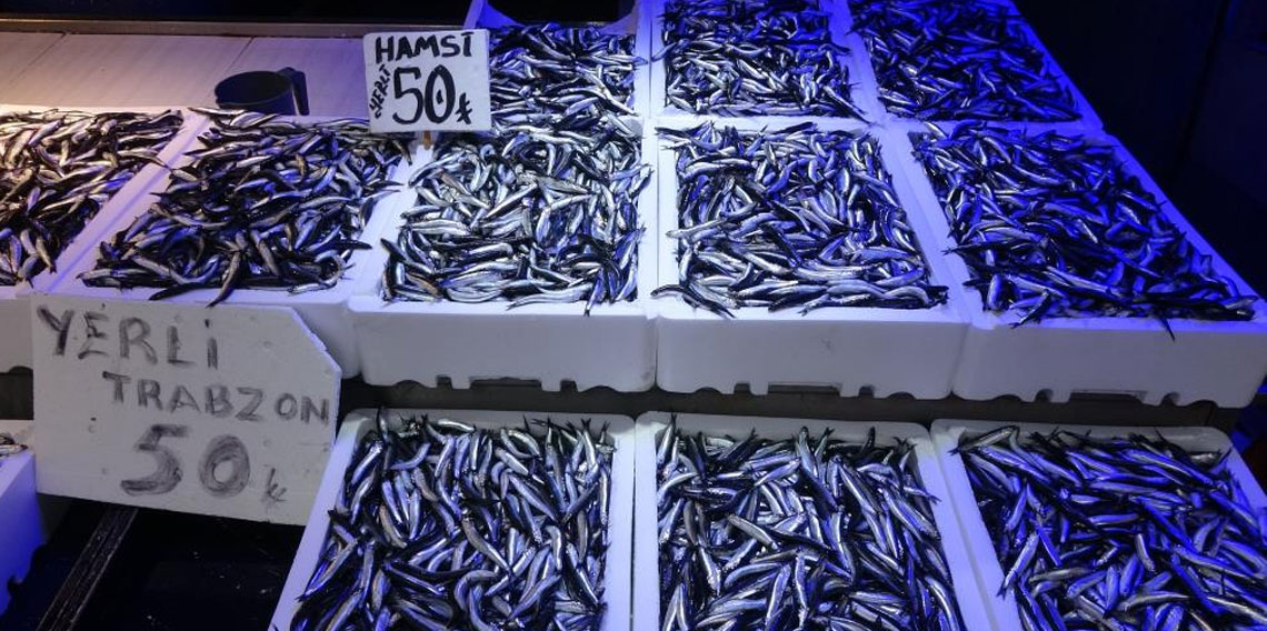 Karadeniz'den bu sezon adeta hamsi fışkırıyor!