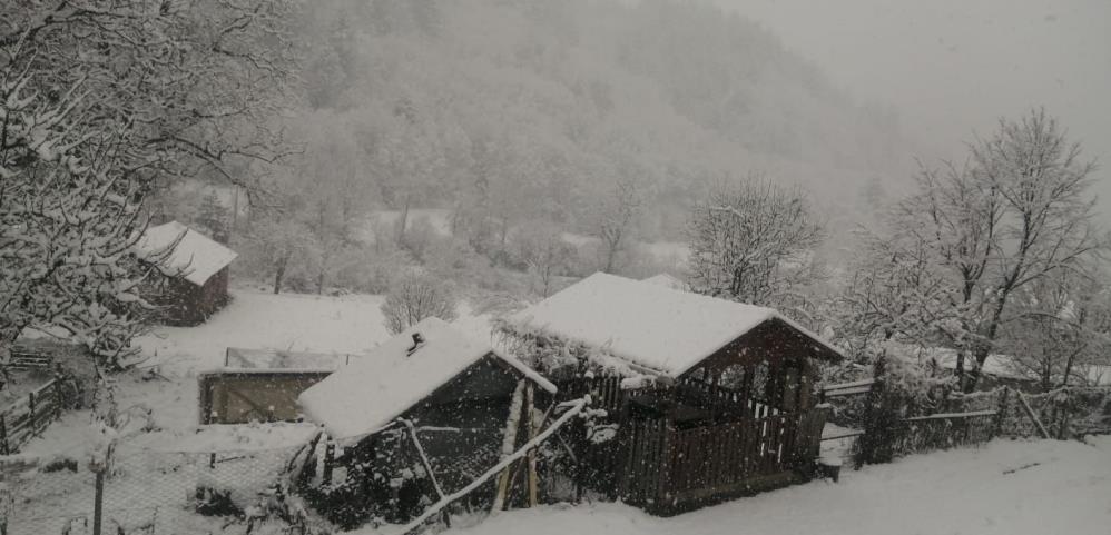 Kastamonu'da kar yağışı etkili oldu