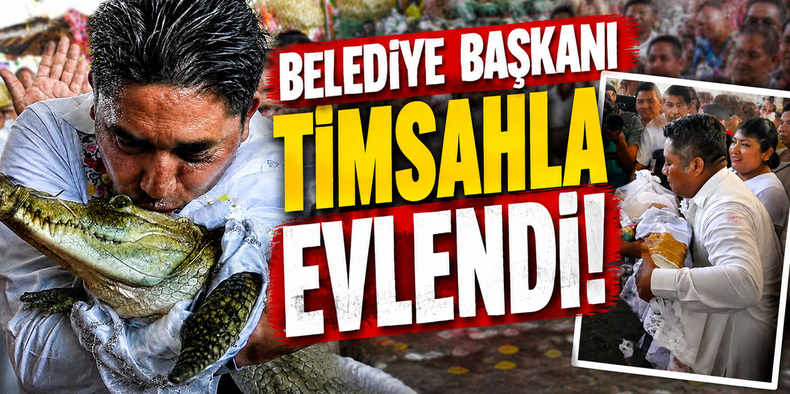 Belediye başkanı timsahla evlendi!
