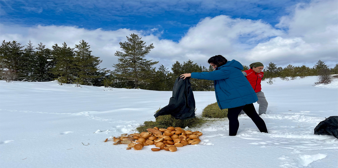 Ilgaz Dağı'nda hayvanlar için yiyecek bırakıldı