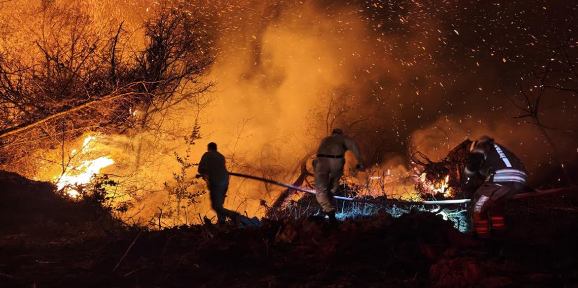 Beykoz'daki orman yangını 9 saatte kontrol alındı