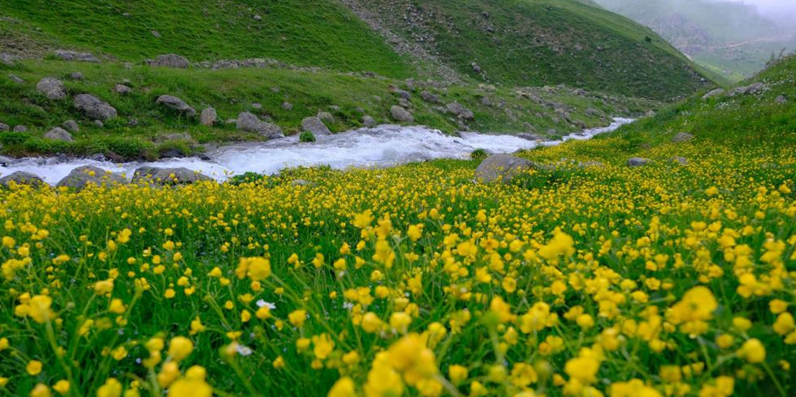Alpleri andıran manzarasıyla Dulağa Yaylası baharın renklerine büründü