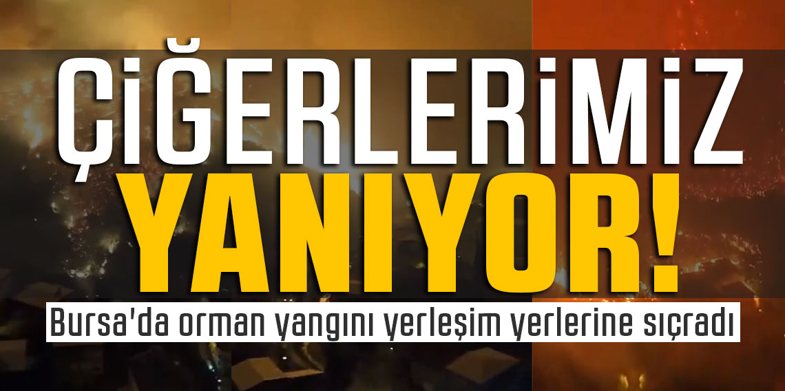 Bursa'da orman yangını yerleşim yerlerine sıçradı