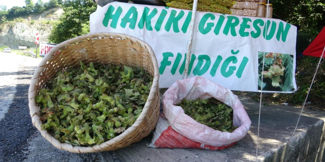 Yeni sezonun ilk fındığı tezgahlarda: