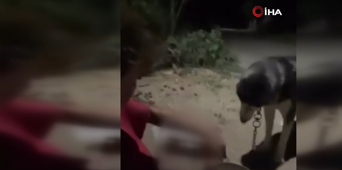 Ankara’da bir kişi köpeğine alkol içirdi