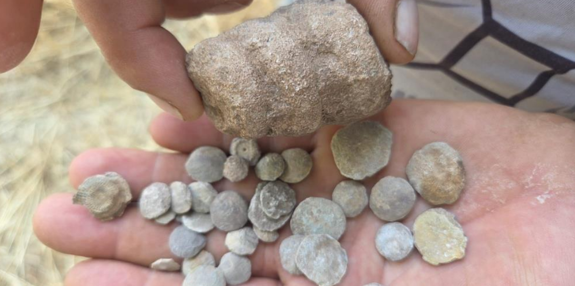 Tarladan bakliyat değil fosil fışkırdı