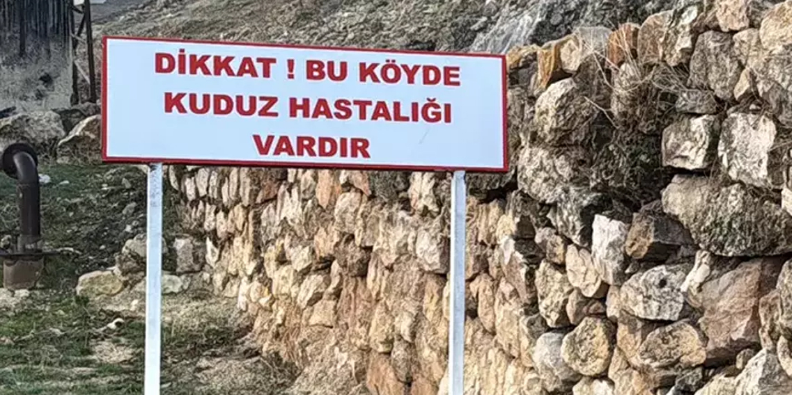 Bir köyde kuduz alarmı!