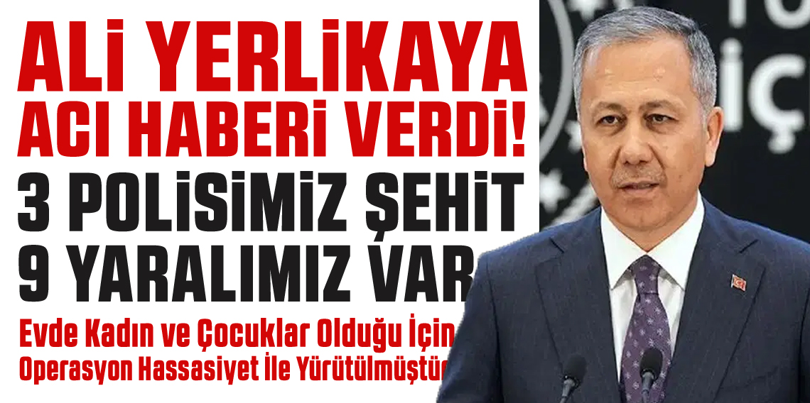 Ali Yerlikaya: 