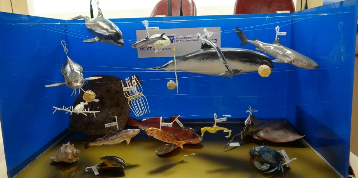 Karadeniz'de alarm: Oksijenli yaşam alanı daralıyor