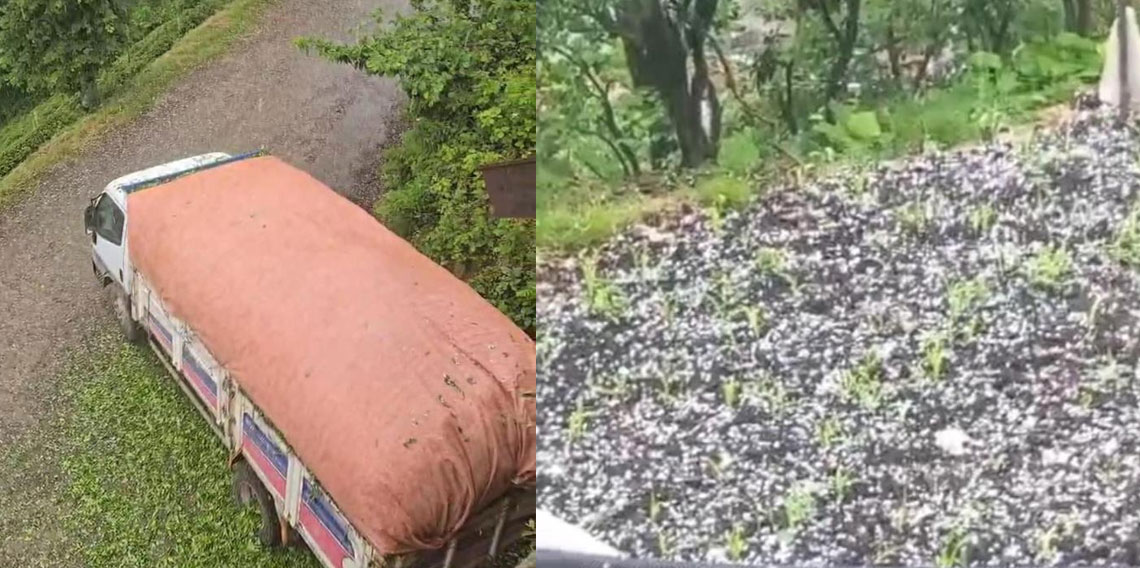 Çay üreticilerine dolu sürprizi
