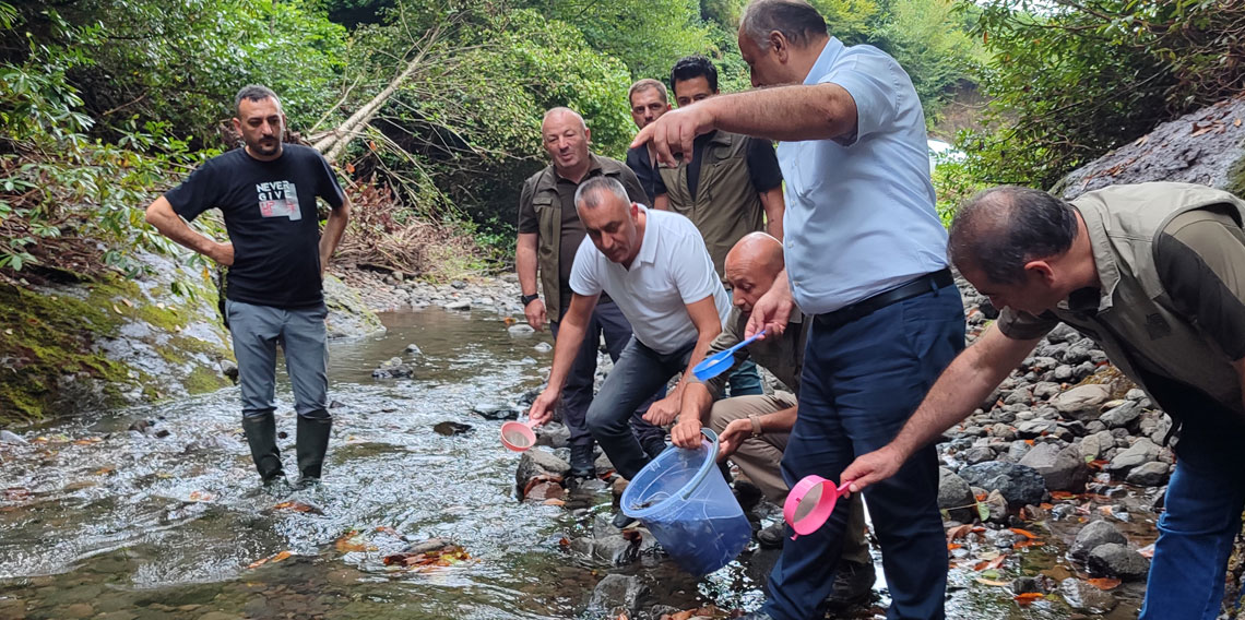 Samsun'da dereye 5 bin kırmızı benekli alabalık yavrusu bırakıldı